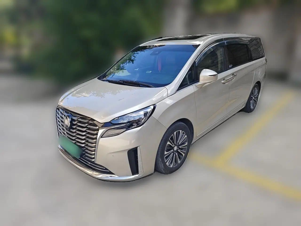 Buick GL8 2020 ES Land Cruiser 653T Flagship Model — миниатюра 1