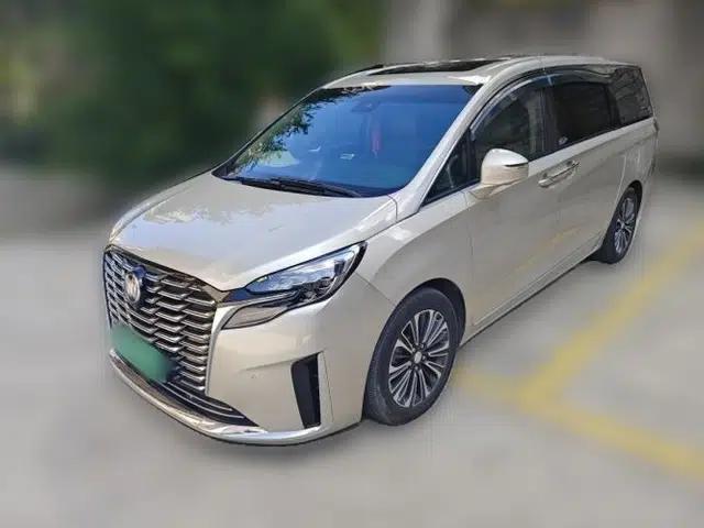 Buick GL8 2020 ES Land Cruiser 653T Flagship Model