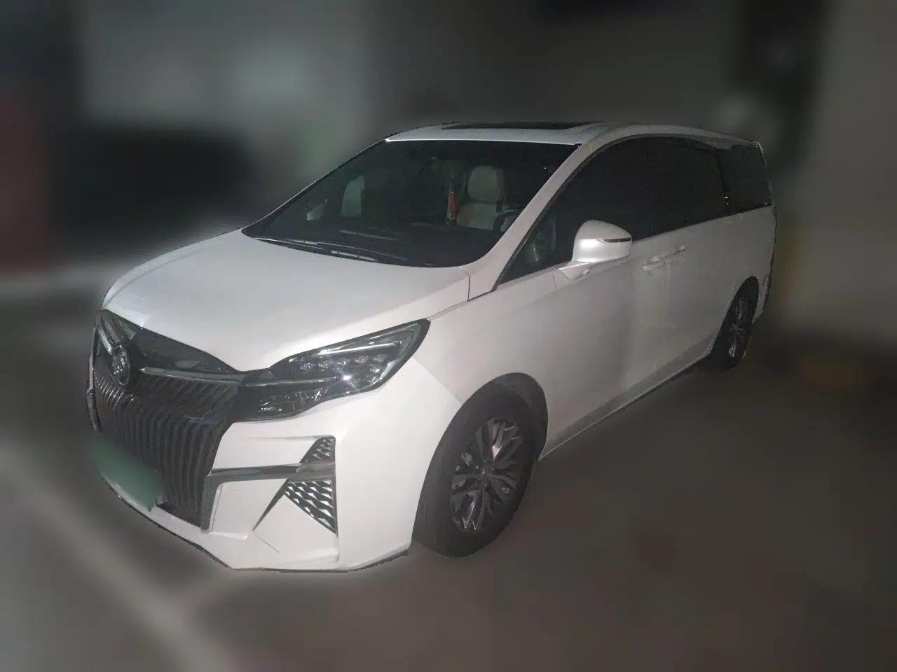Buick GL8 2021 ES Landtrek 653T Comfort Edition — миниатюра 1