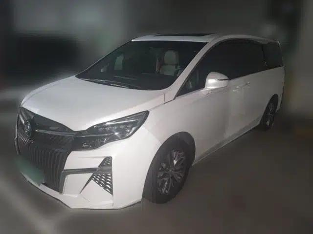 Buick GL8 2021 ES Landtrek 653T Comfort Edition