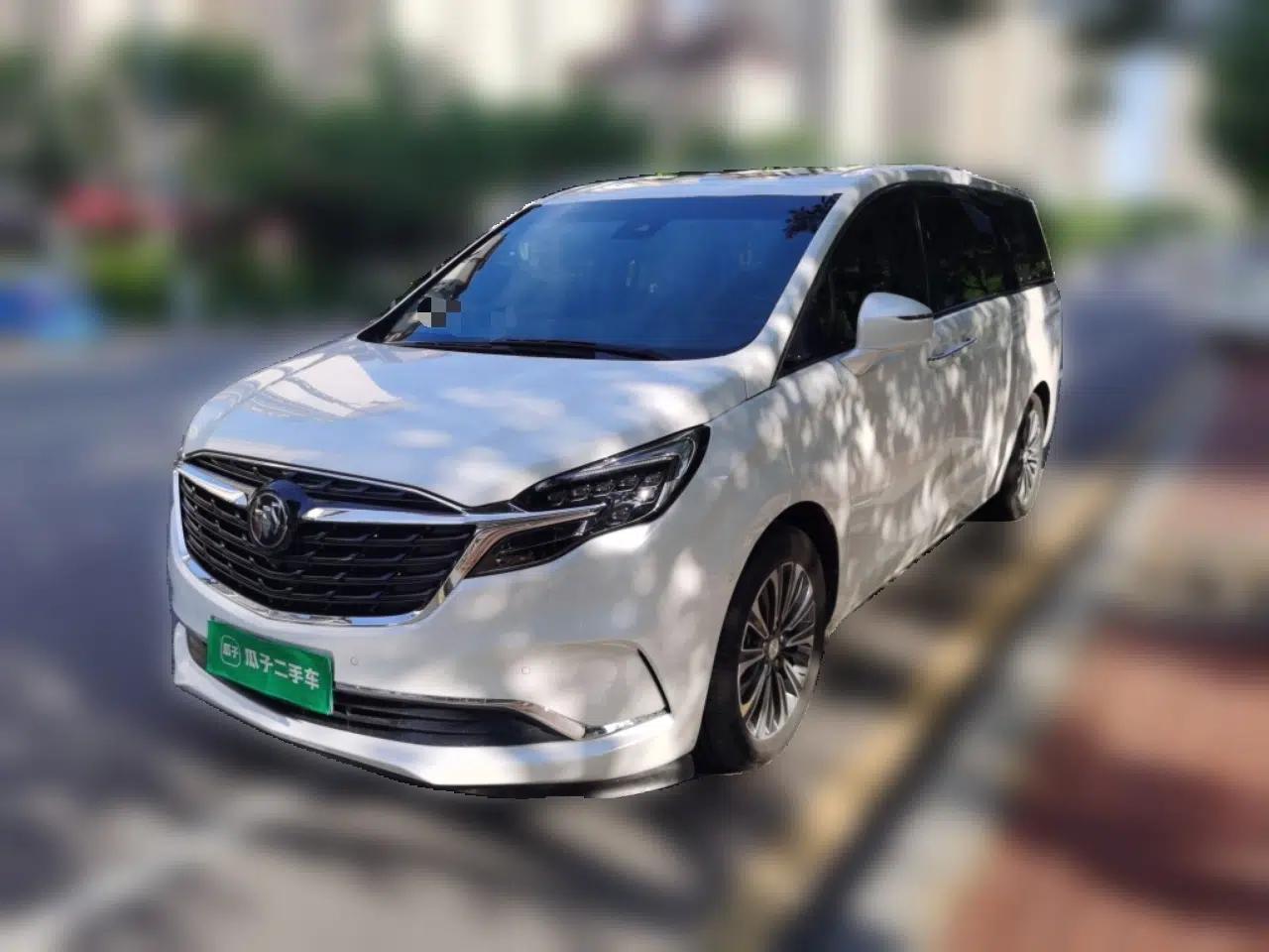 Buick GL8 2021 ES Landtrek 653T Luxury Model — миниатюра 1