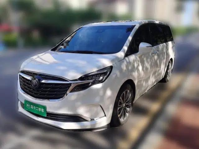 Buick GL8 2021 ES Landtrek 653T Luxury Model