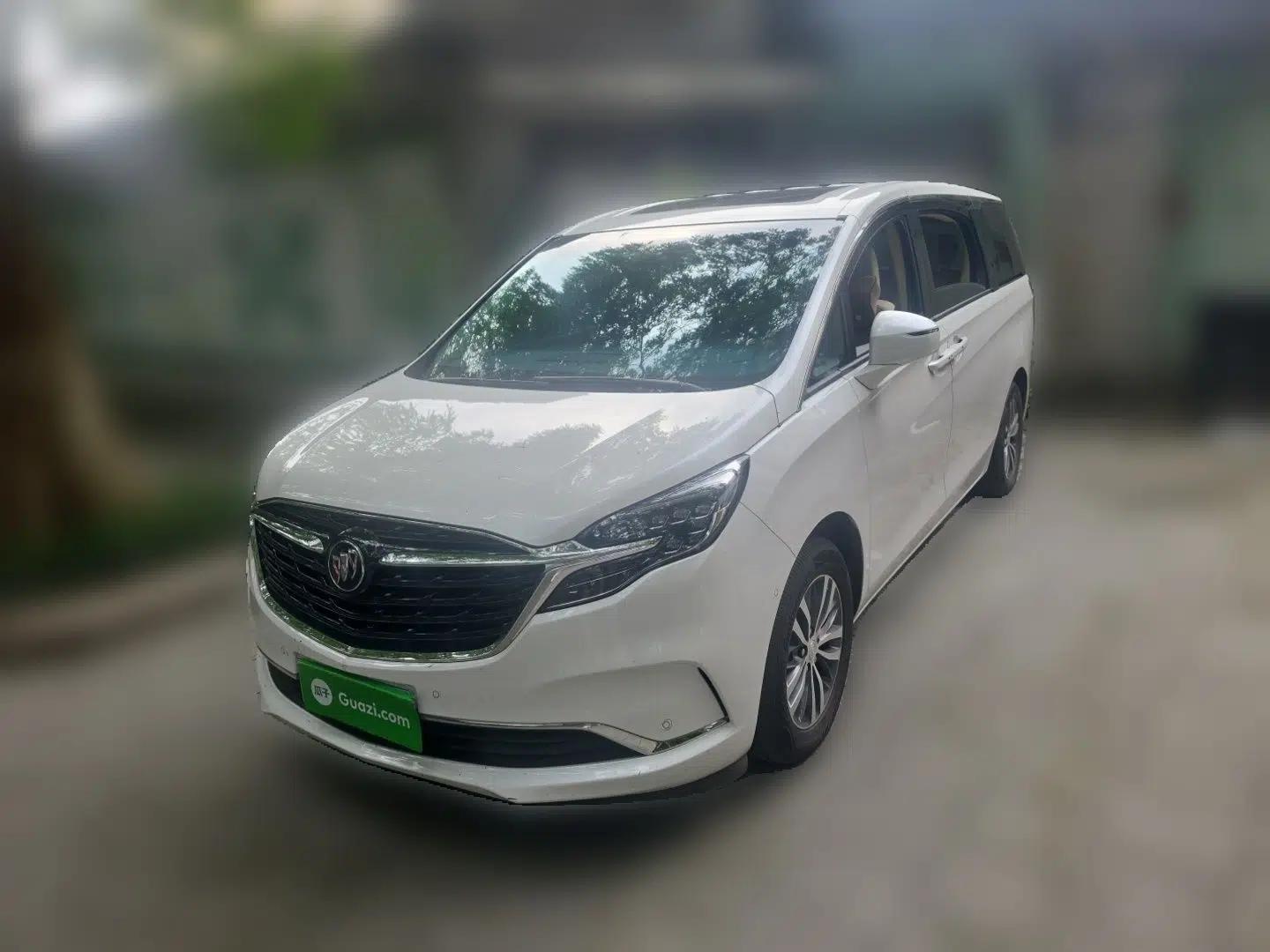 Buick GL8 2022 ES Landtrek 653T Luxury Edition — миниатюра 1