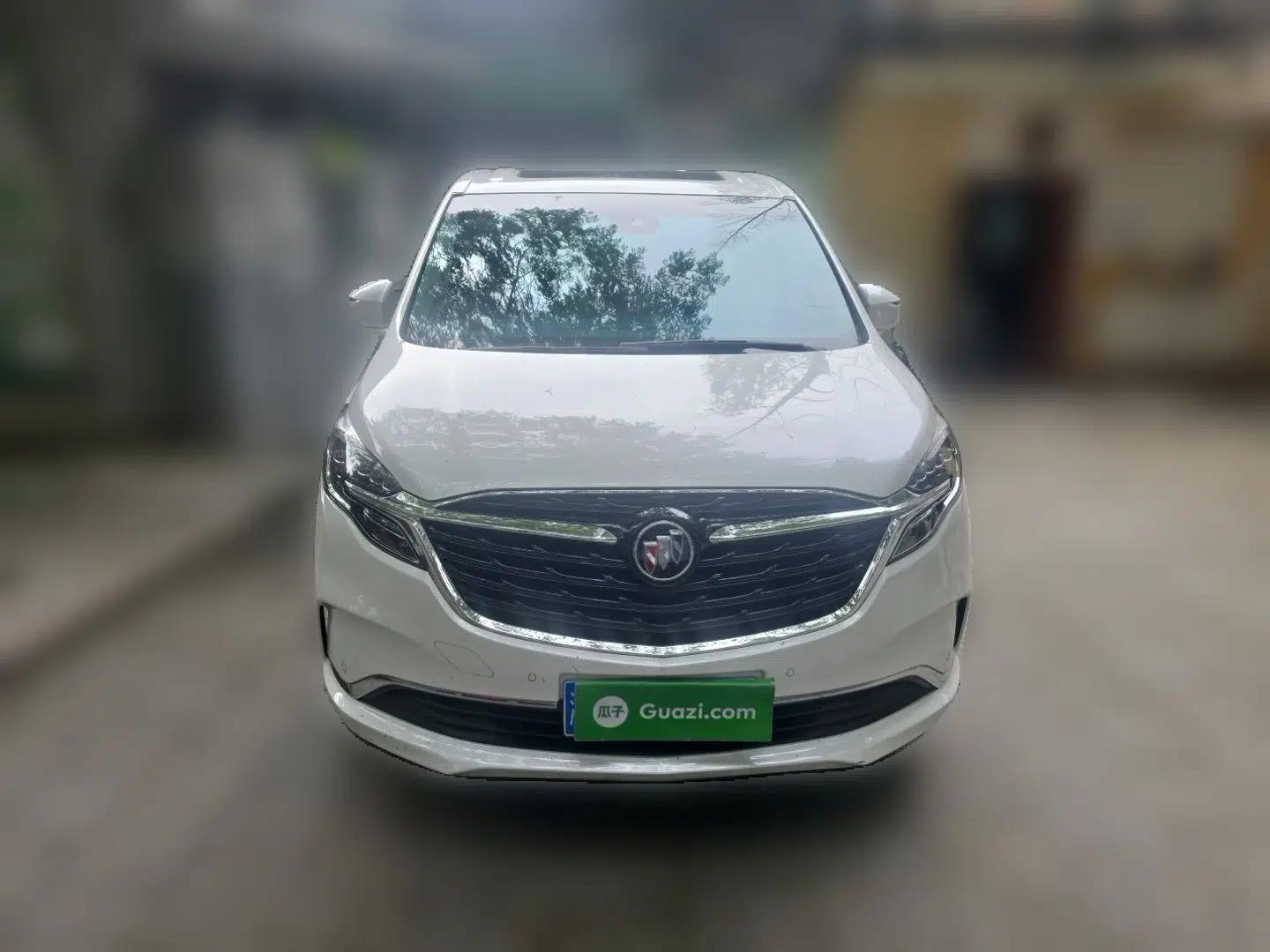 Buick GL8 2022 ES Landtrek 653T Luxury Edition — миниатюра 2