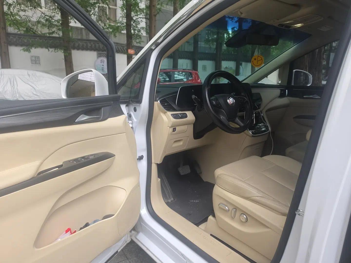 Buick GL8 2022 ES Landtrek 653T Luxury Edition — миниатюра 16