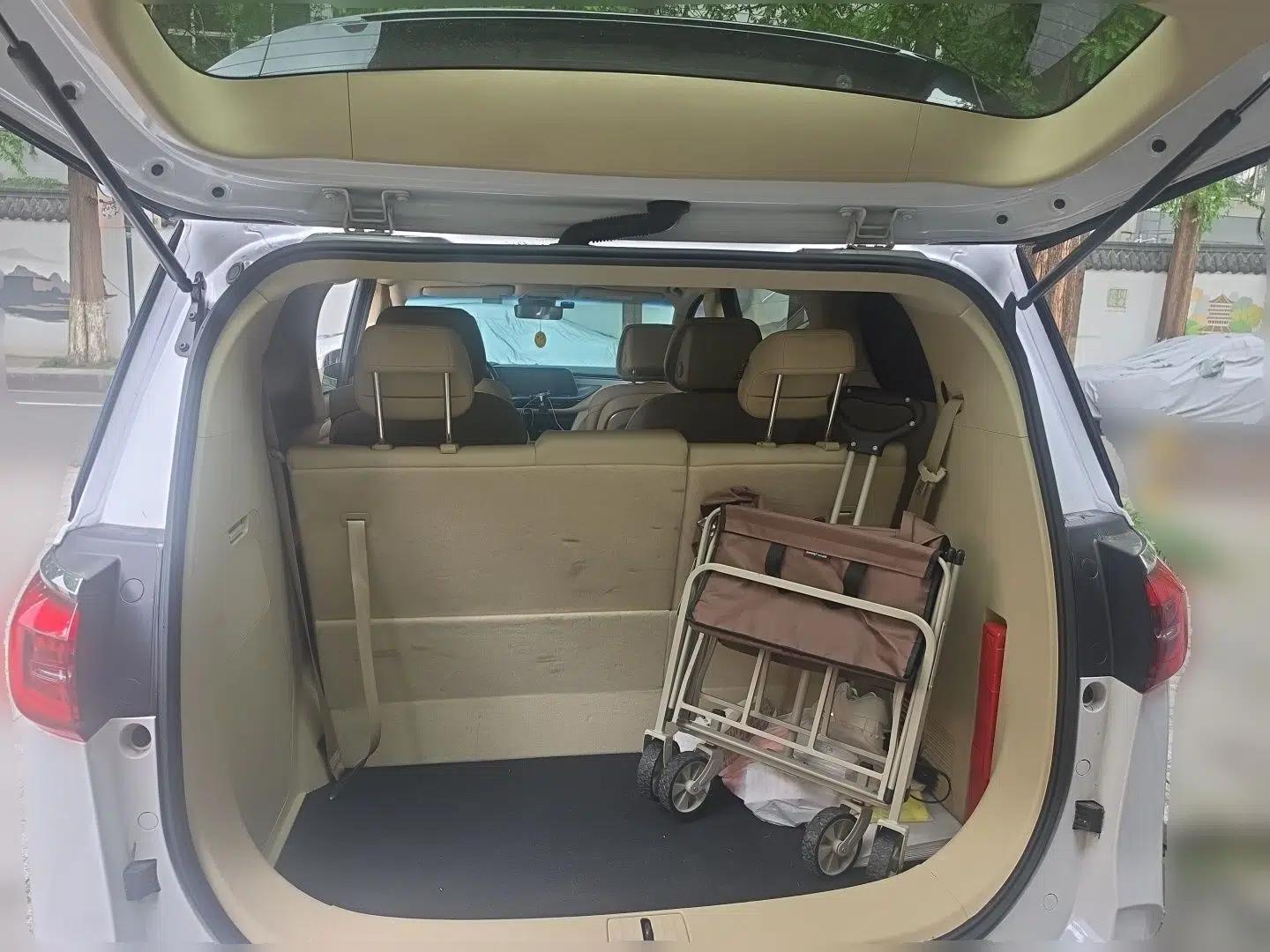 Buick GL8 2022 ES Landtrek 653T Luxury Edition — миниатюра 19