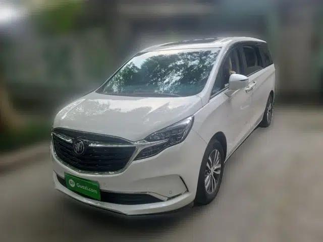 Buick GL8 2022 ES Landtrek 653T Luxury Edition