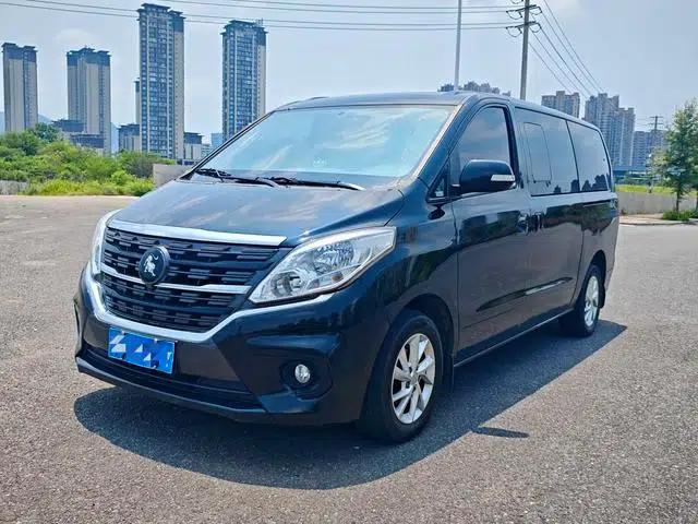 Lingzhi PLUS 2024 1.5T Manual Deluxe 9-Seater