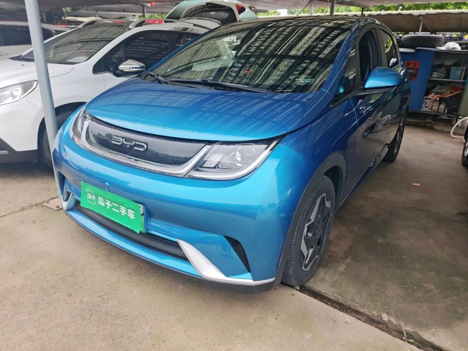 BYD Dolphin 2021 405 km Fashion Edition — миниатюра 1