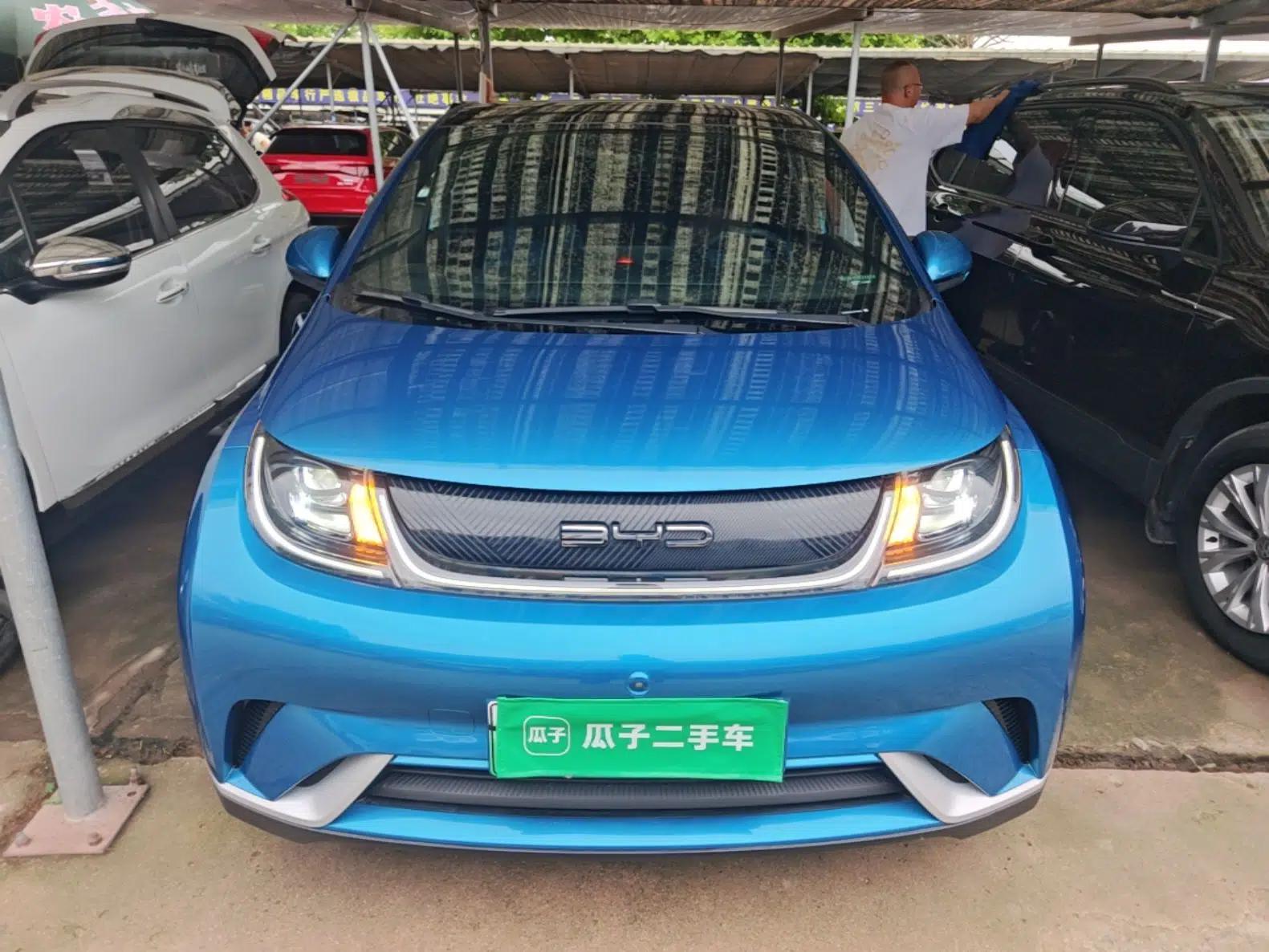 BYD Dolphin 2021 405 km Fashion Edition — миниатюра 2