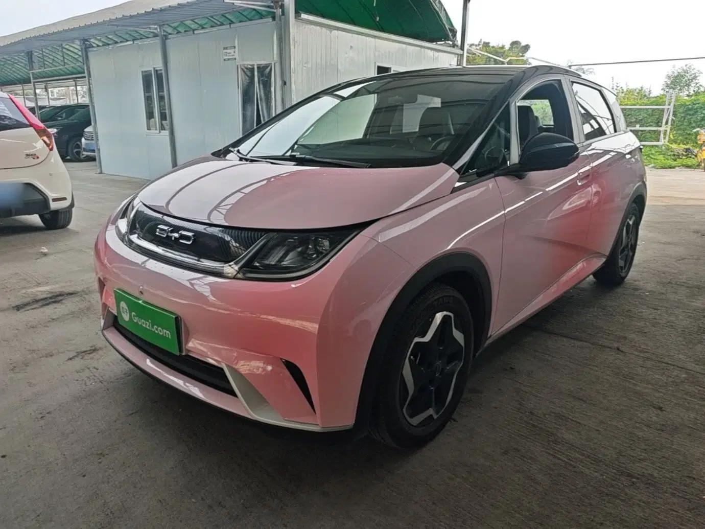 BYD Dolphin 2021 405 km Fashion Edition — миниатюра 1