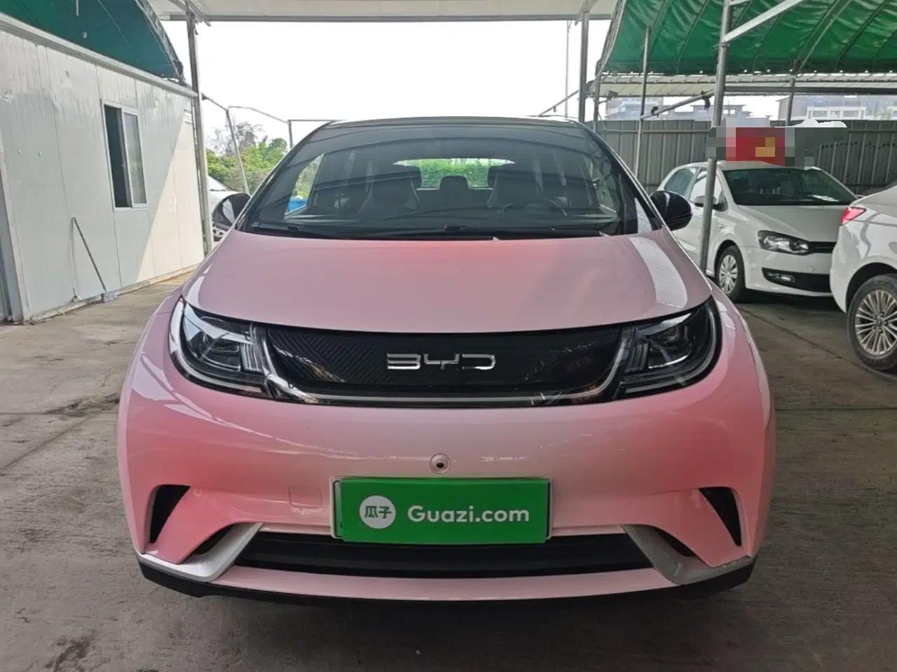 BYD Dolphin 2021 405 km Fashion Edition — миниатюра 2