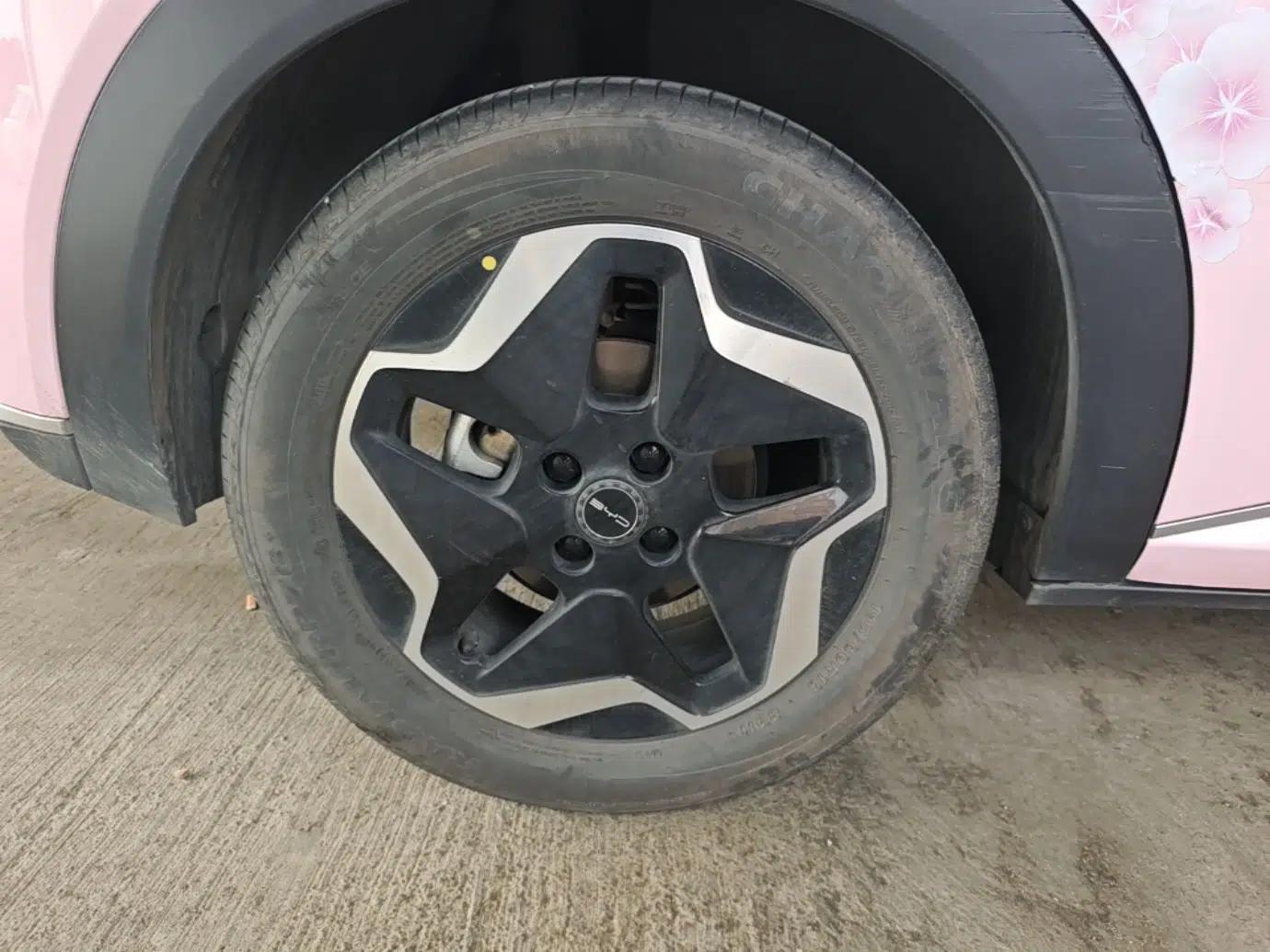BYD Dolphin 2021 405 km Fashion Edition — миниатюра 11