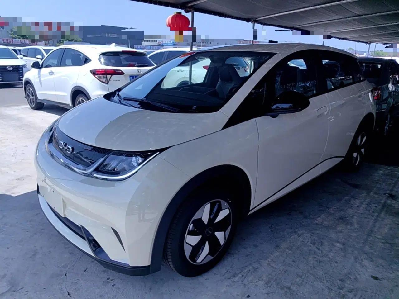 BYD Dolphin 2025 420km Free Edition — миниатюра 1