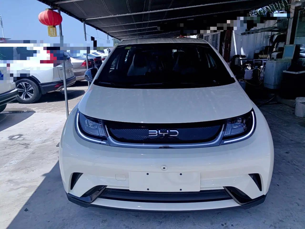 BYD Dolphin 2025 420km Free Edition — миниатюра 2
