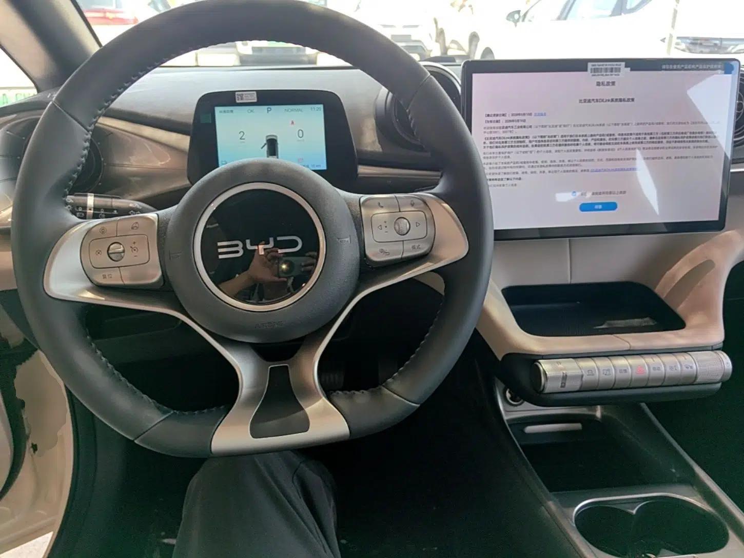 BYD Dolphin 2025 420km Free Edition — миниатюра 12