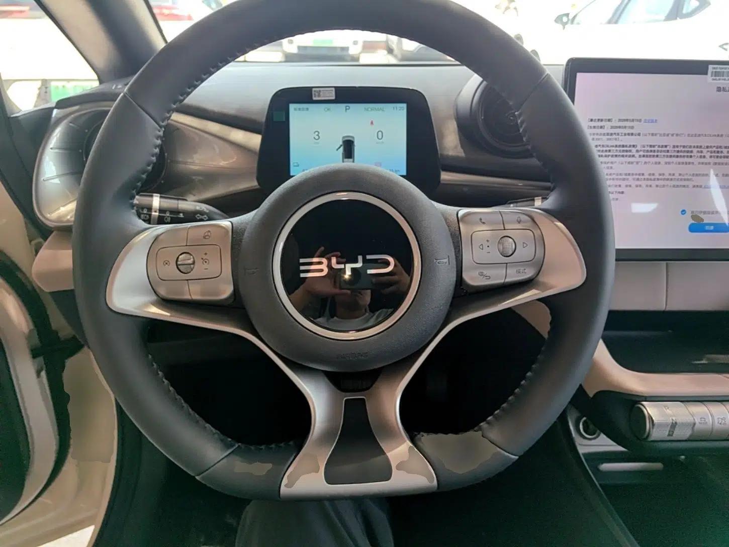 BYD Dolphin 2025 420km Free Edition — миниатюра 13