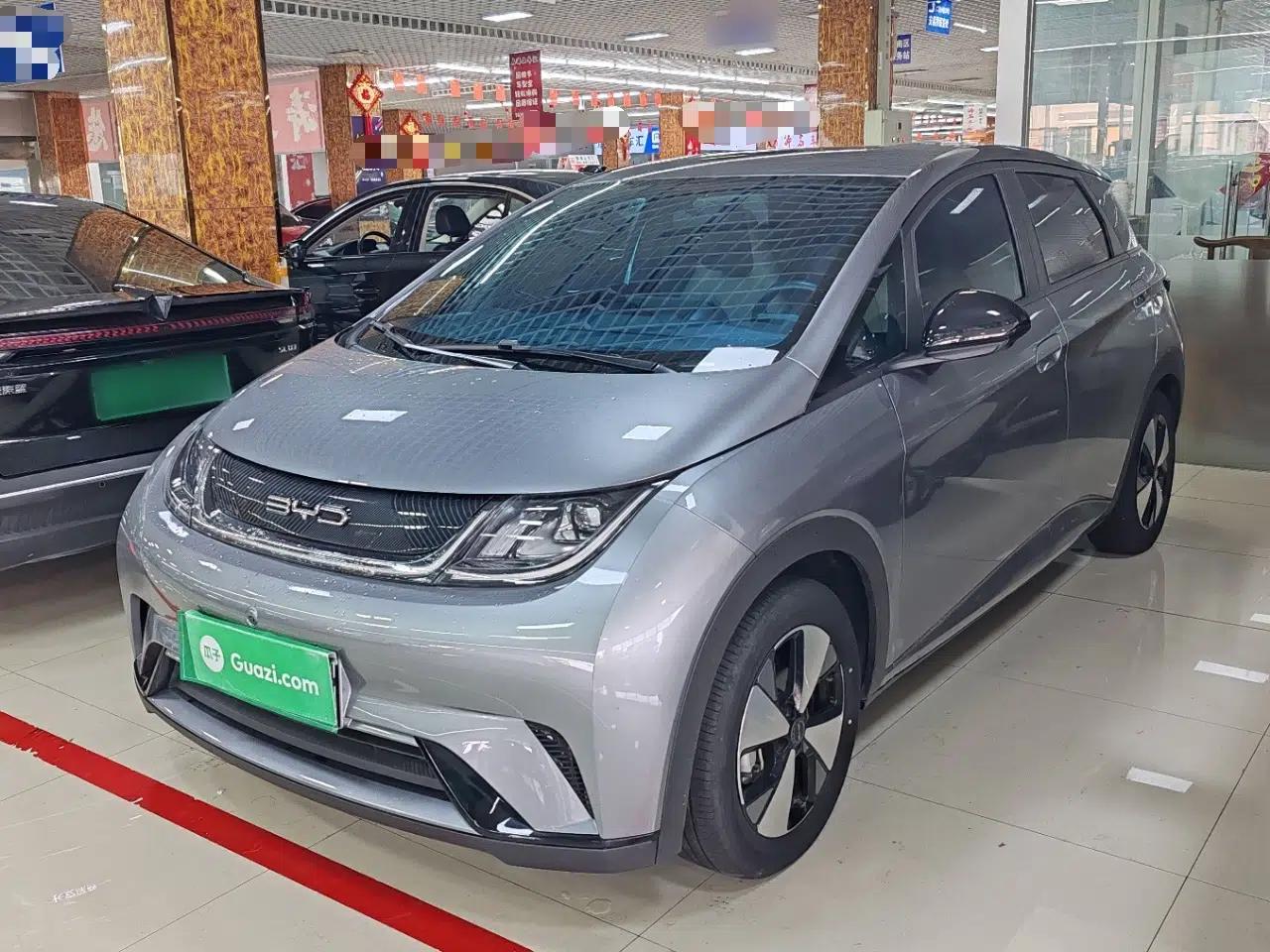 BYD Dolphin 2023 420 km Free Version — миниатюра 1