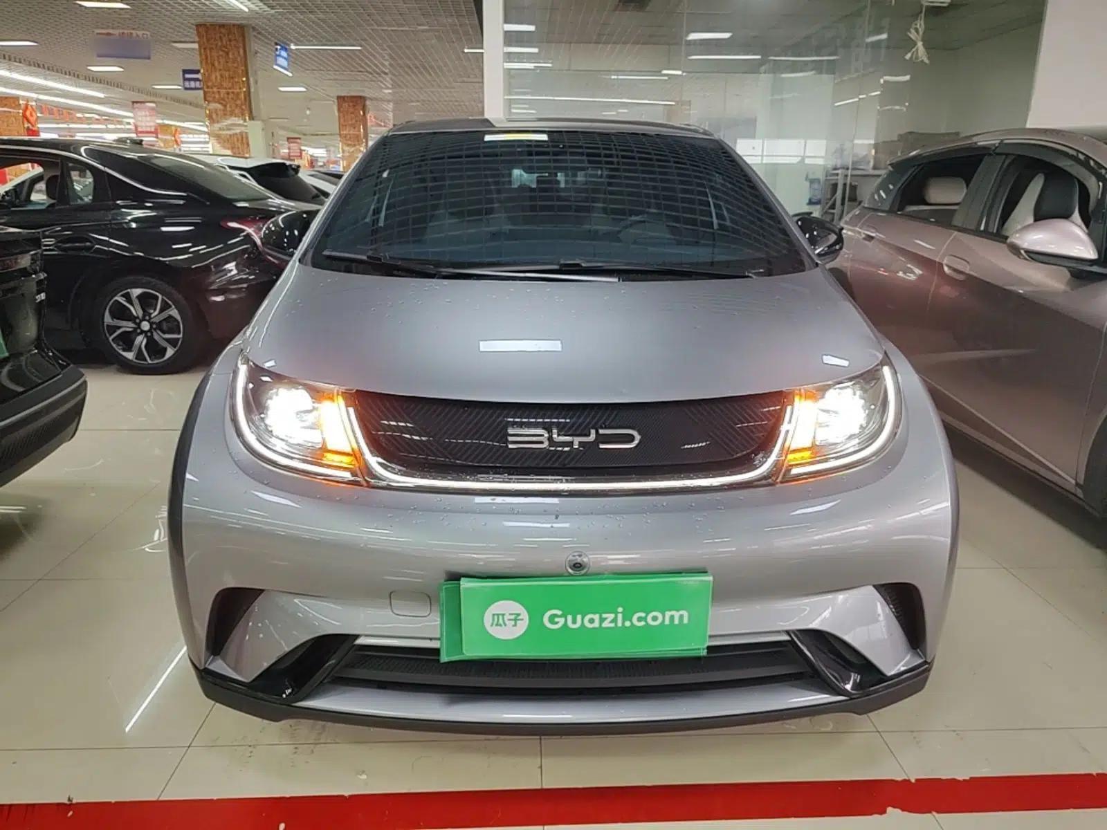 BYD Dolphin 2023 420 km Free Version — миниатюра 2