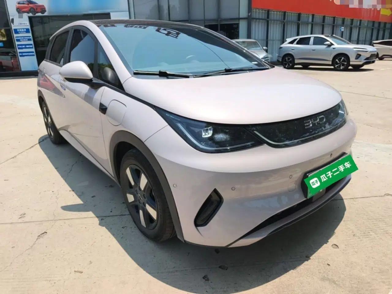 BYD Dolphin 2025 Intelligent Driving Version 410 km Fashion Edition — миниатюра 12