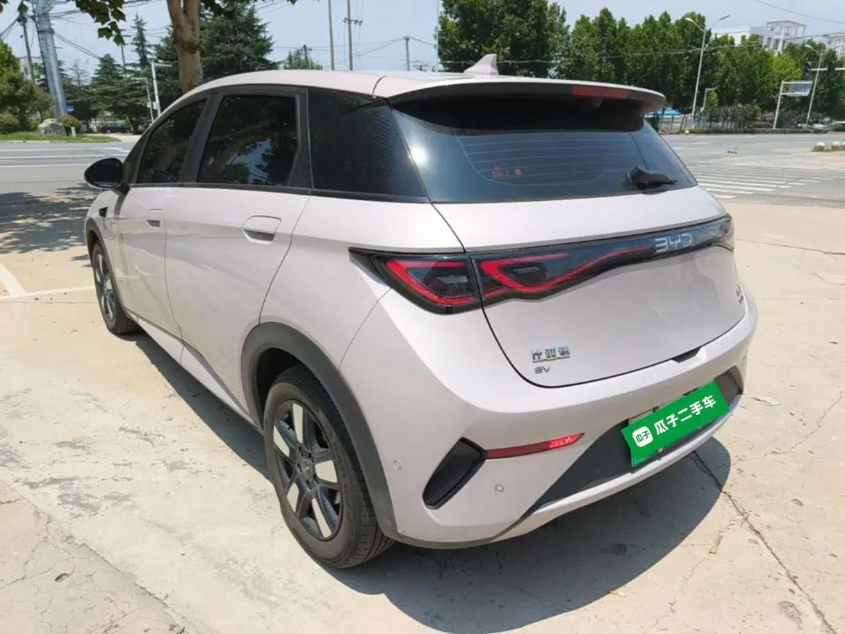 BYD Dolphin 2025 Intelligent Driving Version 410 km Fashion Edition — миниатюра 13