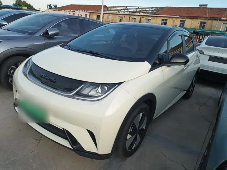 BYD Dolphin 2023 420 km Fashion Edition — миниатюра 1