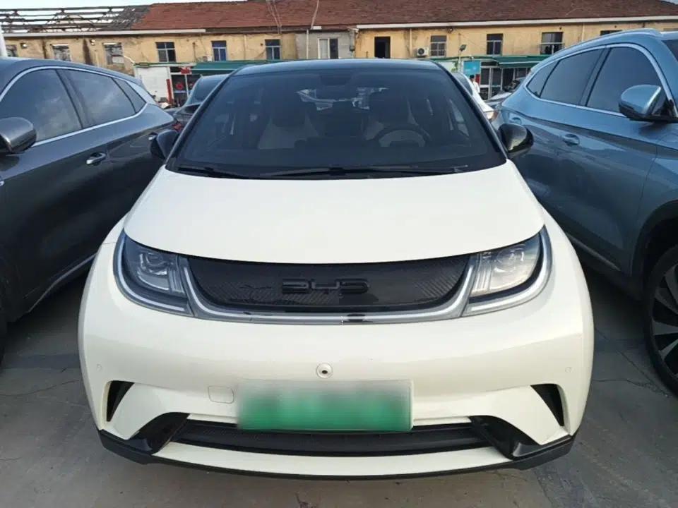 BYD Dolphin 2023 420 km Fashion Edition — миниатюра 2