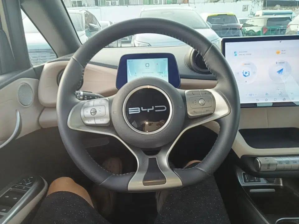 BYD Dolphin 2023 420 km Fashion Edition — миниатюра 13