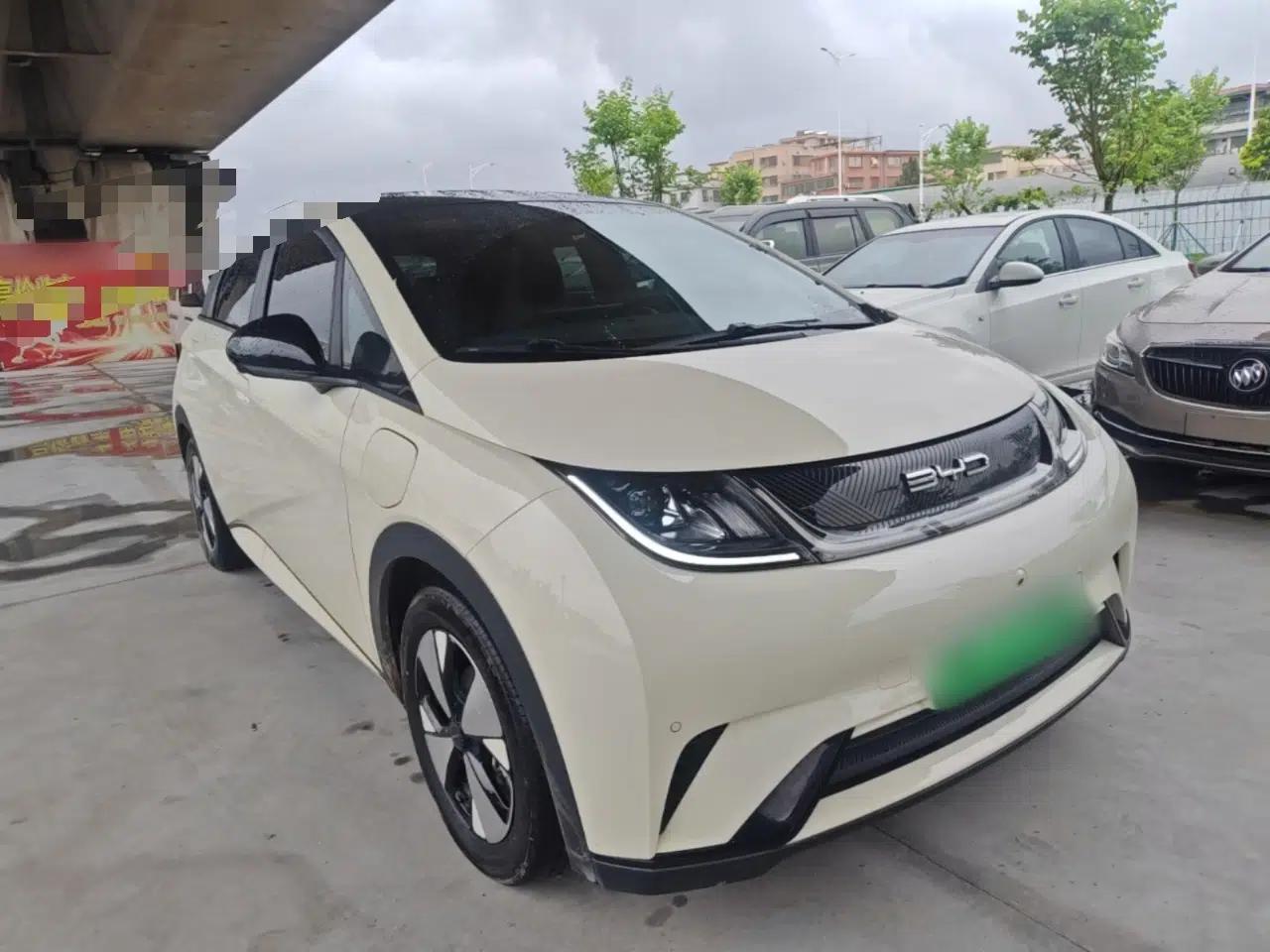 BYD Dolphin 2023 420 km Fashion Edition — миниатюра 3