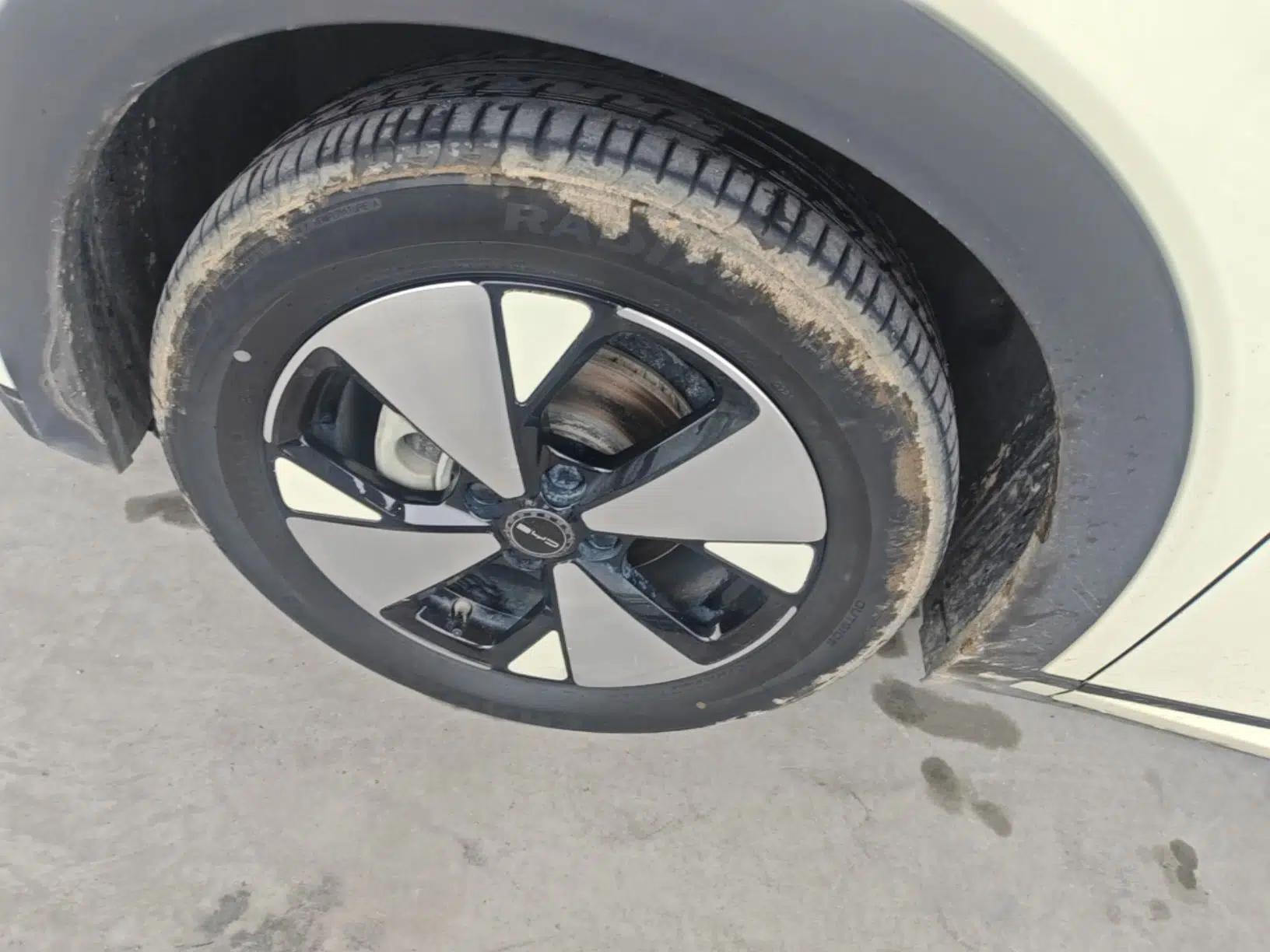 BYD Dolphin 2023 420 km Fashion Edition — миниатюра 10