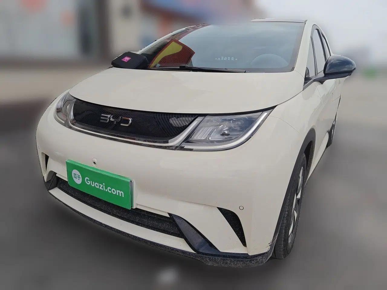 BYD Dolphin 2024 Honor Edition 420km Fashion Version — миниатюра 1