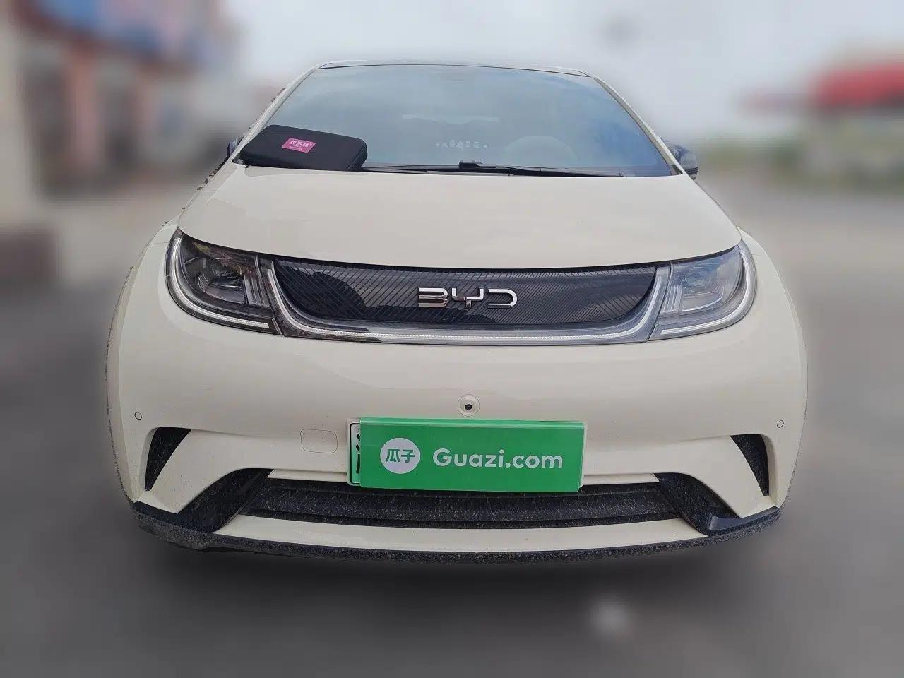 BYD Dolphin 2024 Honor Edition 420km Fashion Version — миниатюра 2