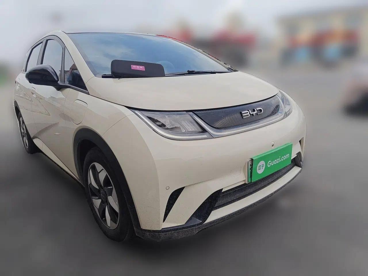 BYD Dolphin 2024 Honor Edition 420km Fashion Version — миниатюра 3
