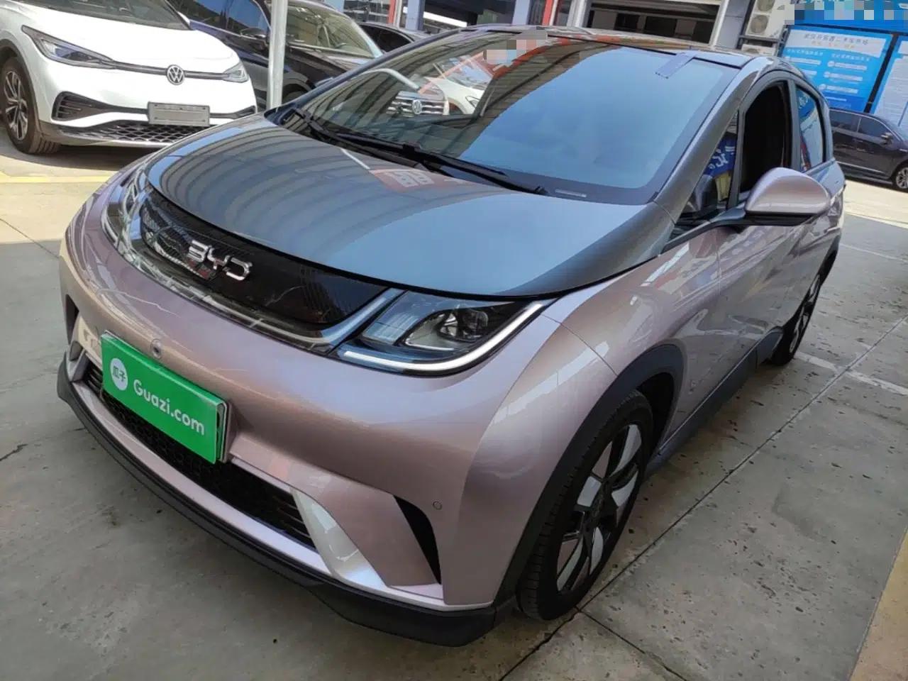 BYD Dolphin 2025 520km Range Knight Edition — миниатюра 1