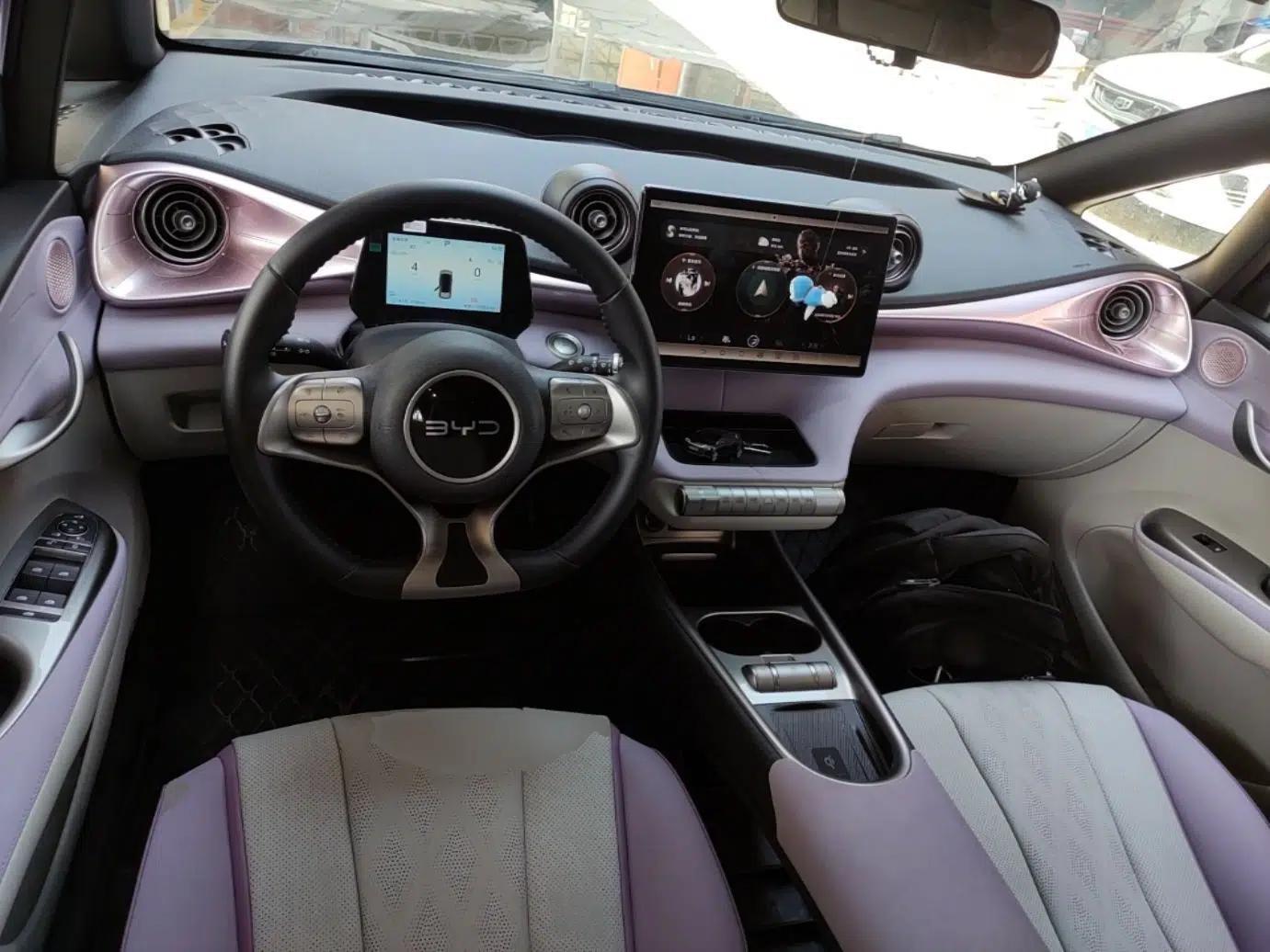 BYD Dolphin 2025 520km Range Knight Edition — миниатюра 12