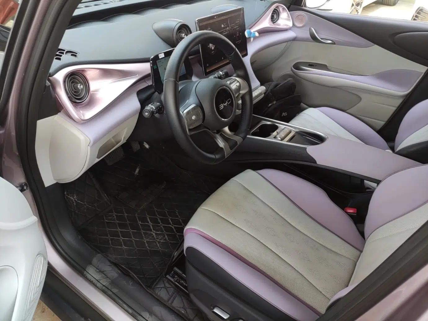 BYD Dolphin 2025 520km Range Knight Edition — миниатюра 17