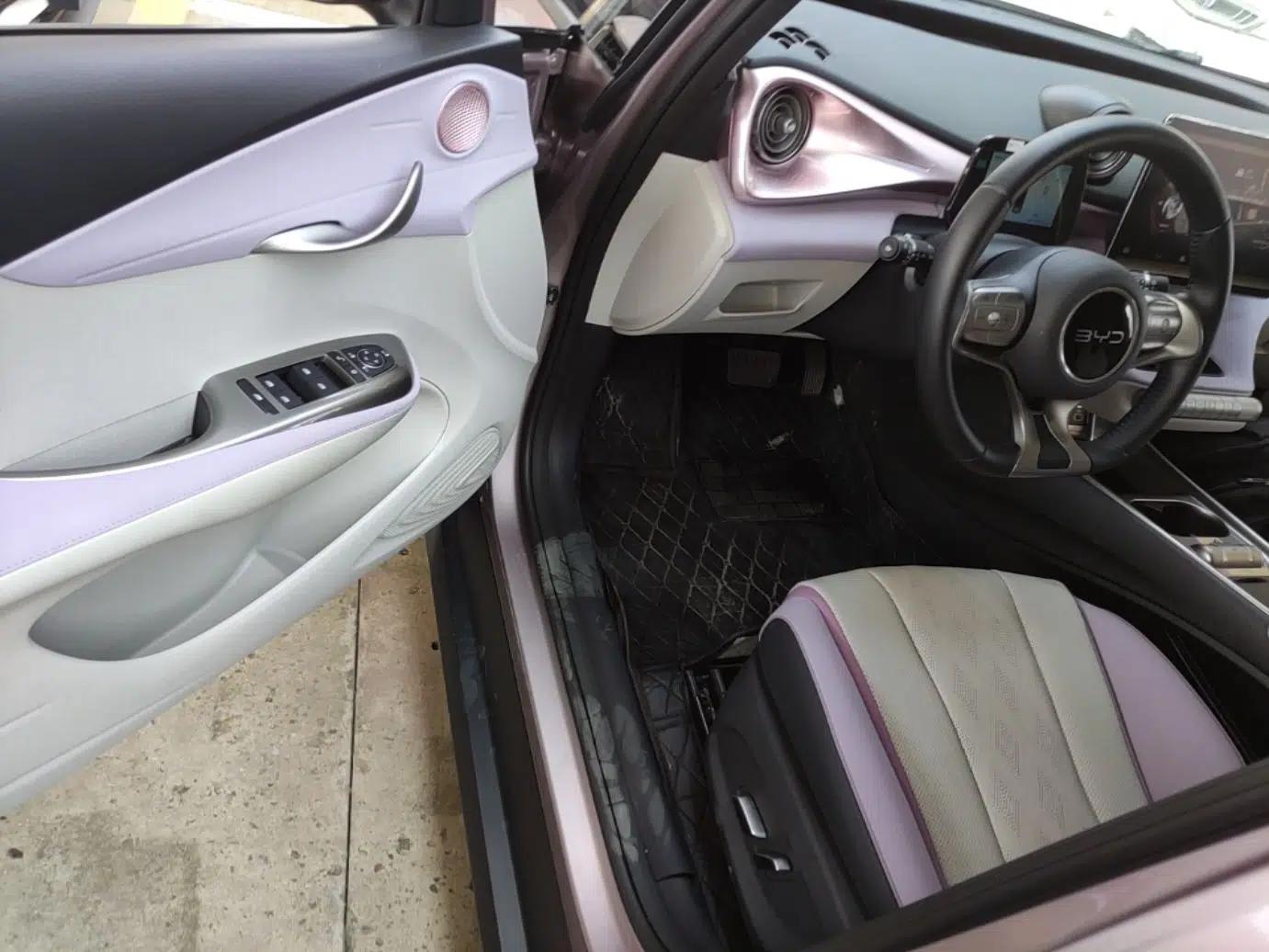 BYD Dolphin 2025 520km Range Knight Edition — миниатюра 18