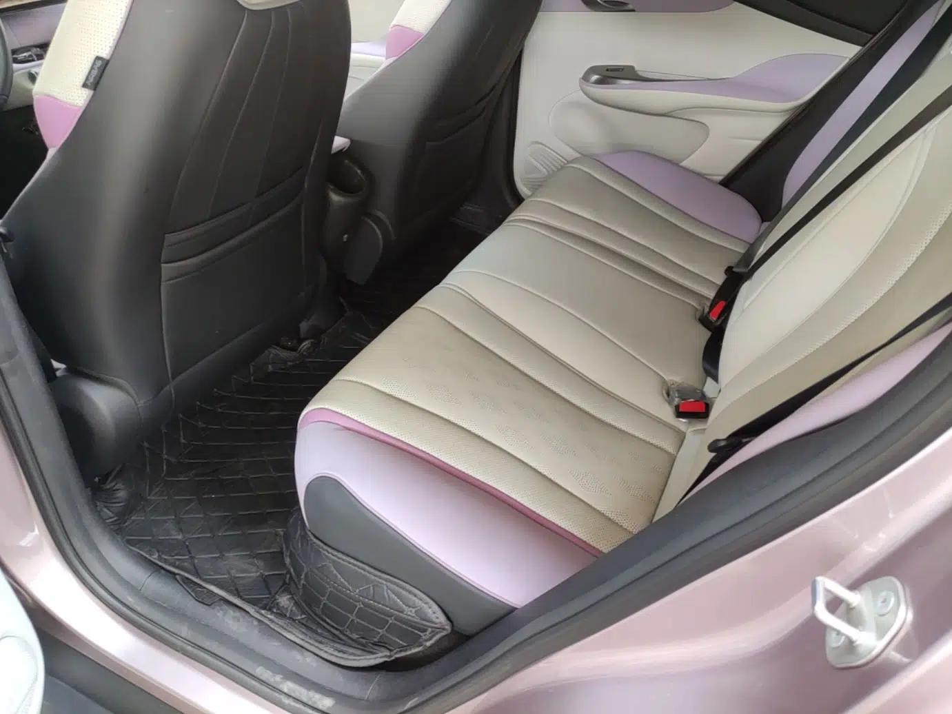 BYD Dolphin 2025 520km Range Knight Edition — миниатюра 20