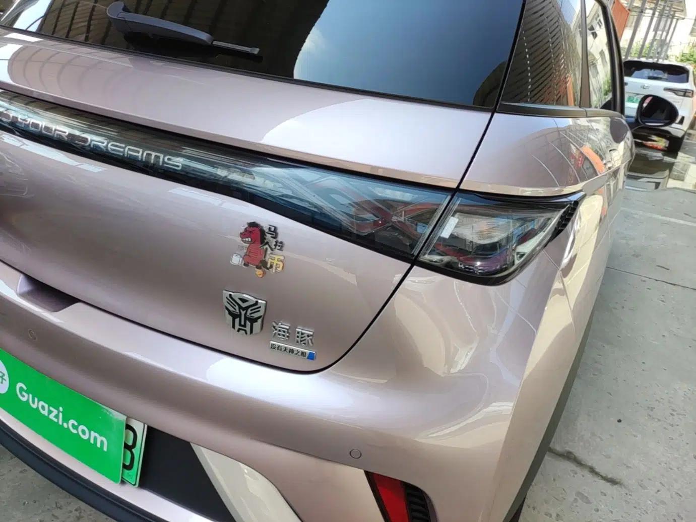 BYD Dolphin 2025 520km Range Knight Edition — миниатюра 9