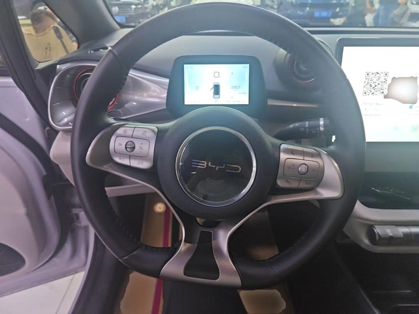 BYD Dolphin 2021 405 km Fashion Edition — миниатюра 13