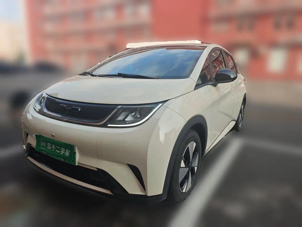 BYD Dolphin 2023 420 km Free Version — миниатюра 1