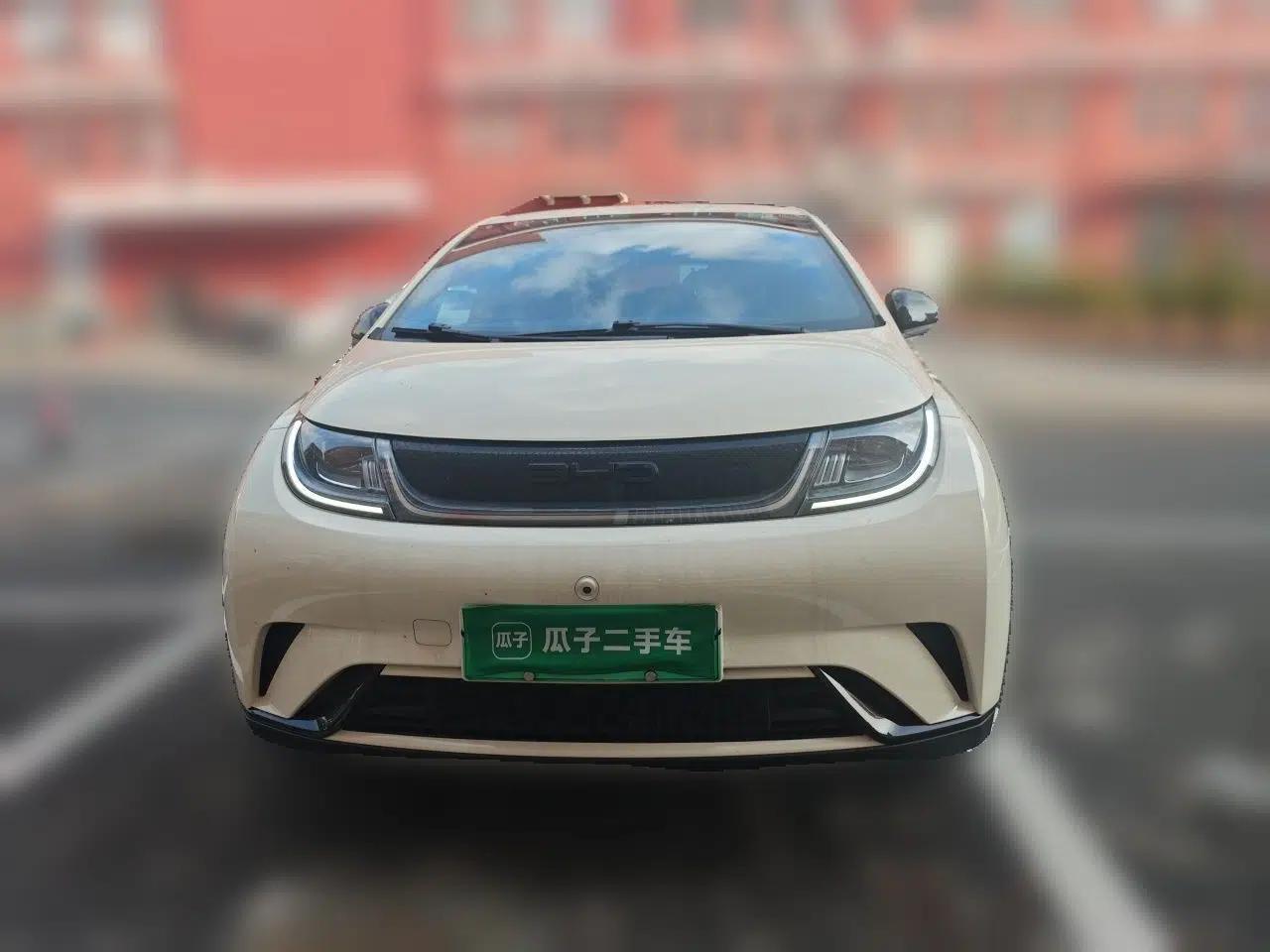 BYD Dolphin 2023 420 km Free Version — миниатюра 2