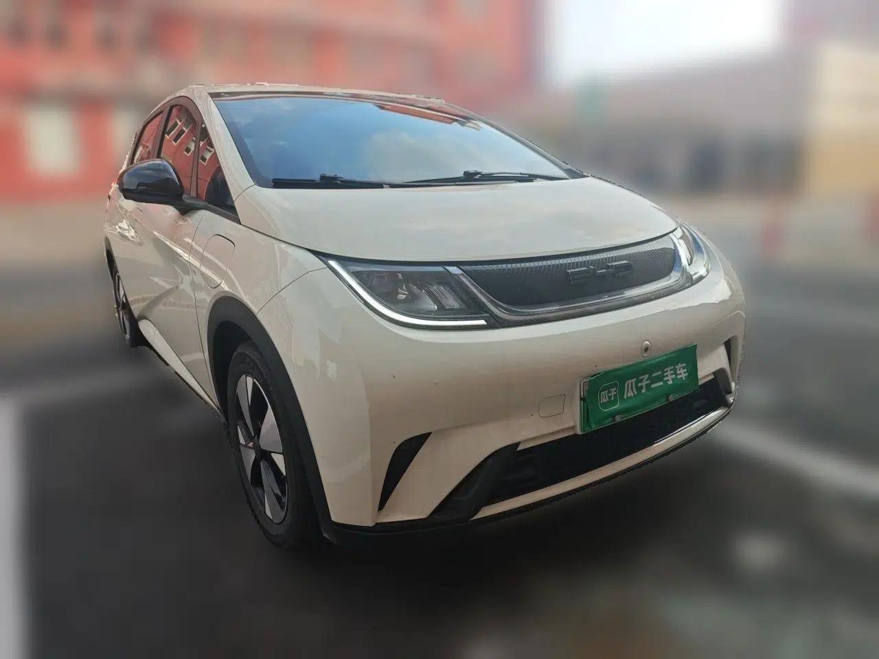 BYD Dolphin 2023 420 km Free Version — миниатюра 3