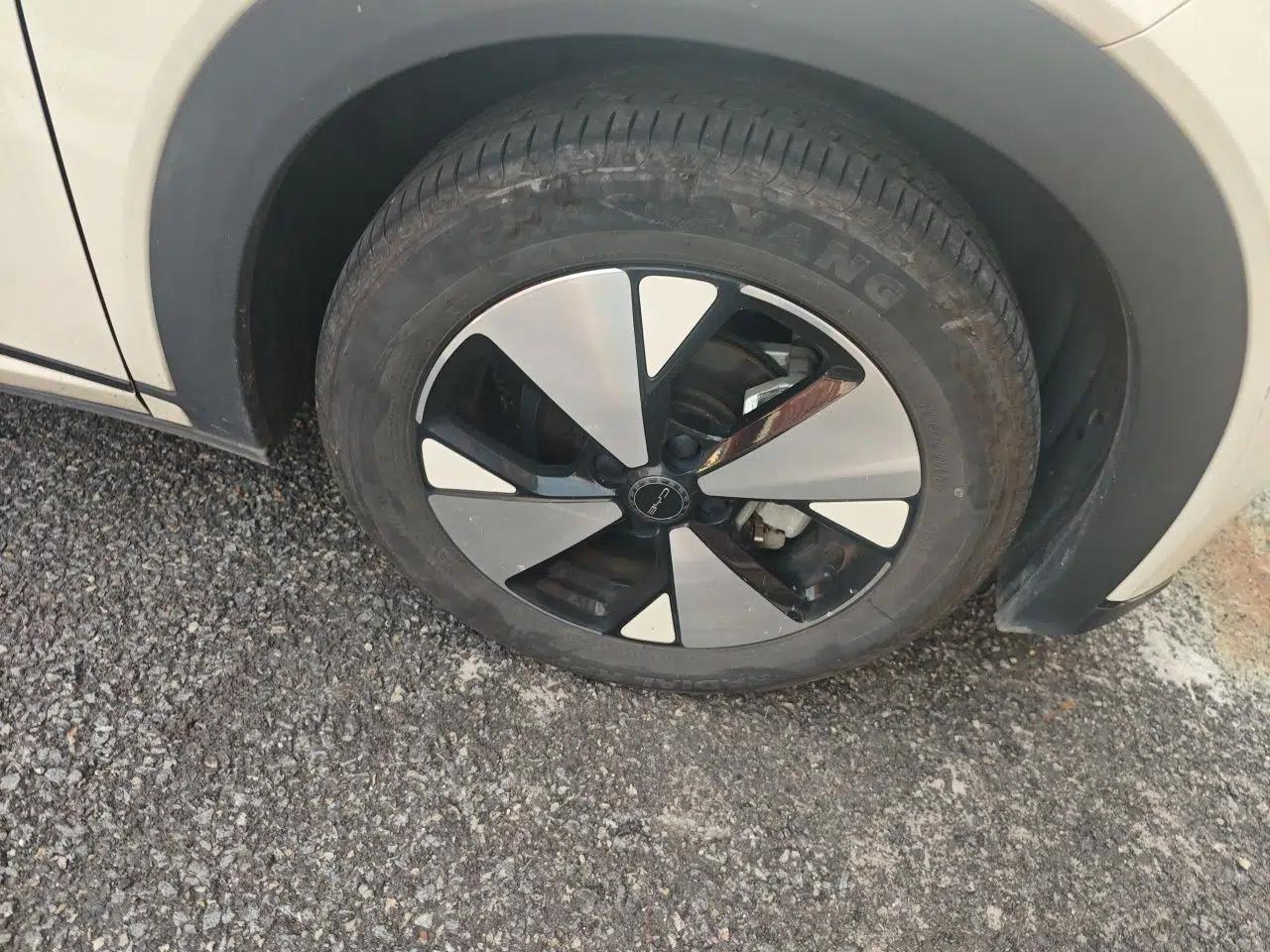 BYD Dolphin 2023 420 km Free Version — миниатюра 8
