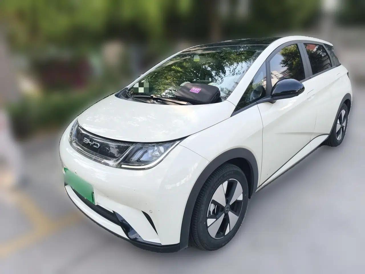 BYD Dolphin 2023 420 km Fashion Edition — миниатюра 1