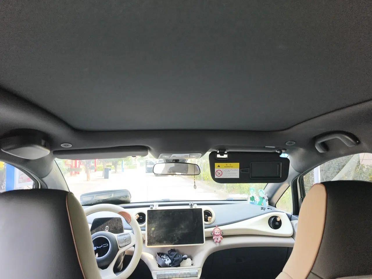 BYD Dolphin 2023 420 km Fashion Edition — миниатюра 18