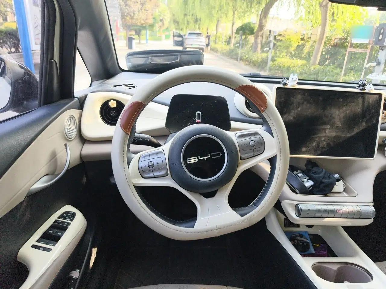 BYD Dolphin 2023 420 km Fashion Edition — миниатюра 10