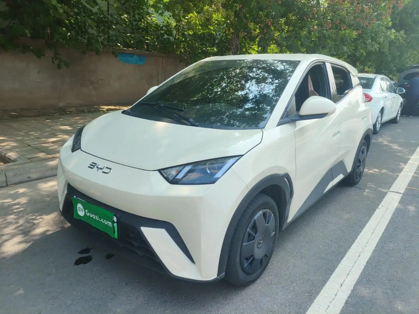 BYD Seagull 2025 305km Active Version — миниатюра 1