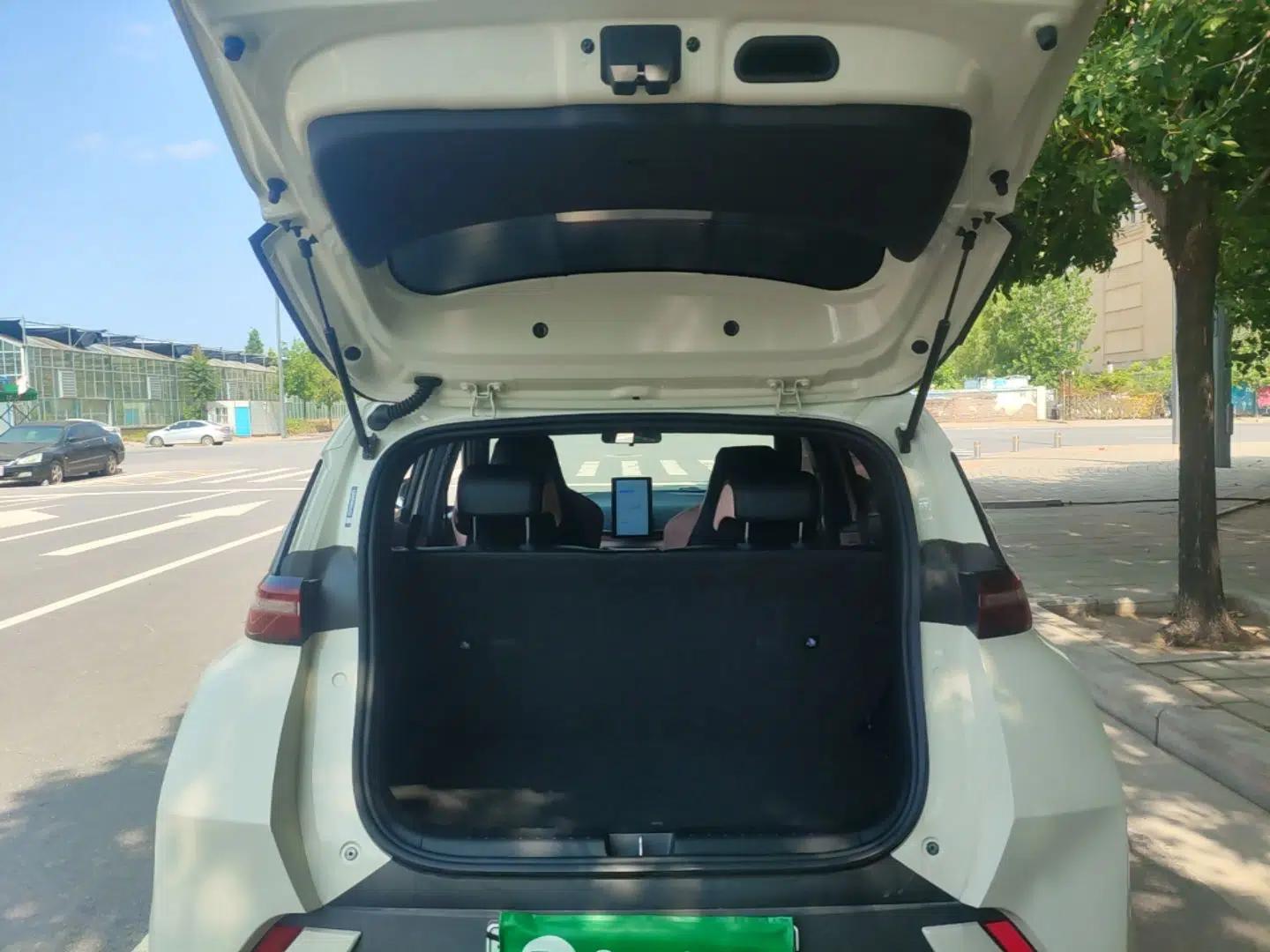 BYD Seagull 2025 305km Active Version — миниатюра 27