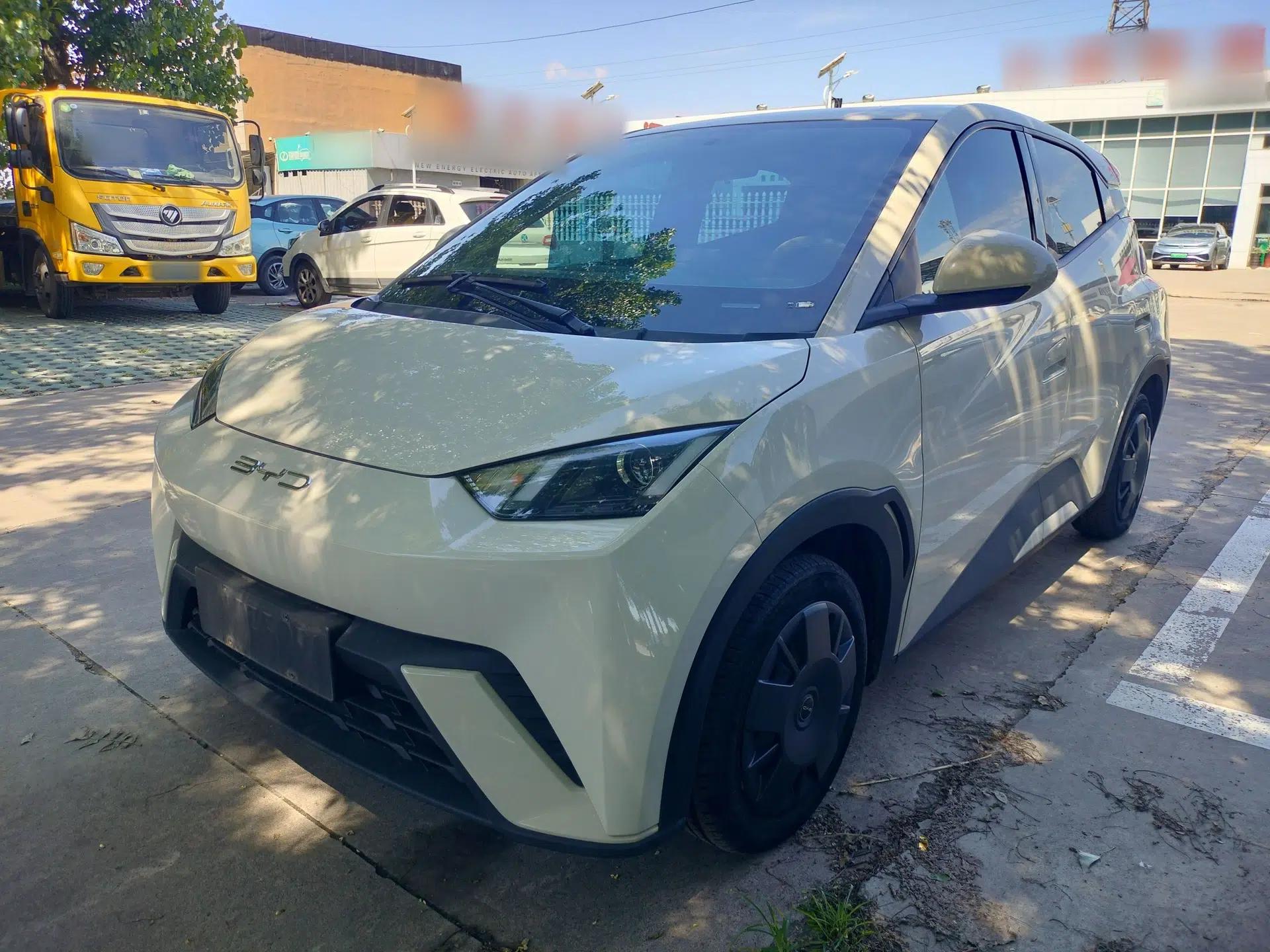 BYD Seagull 2024 Honor Edition 305km Dynamic Version — миниатюра 1